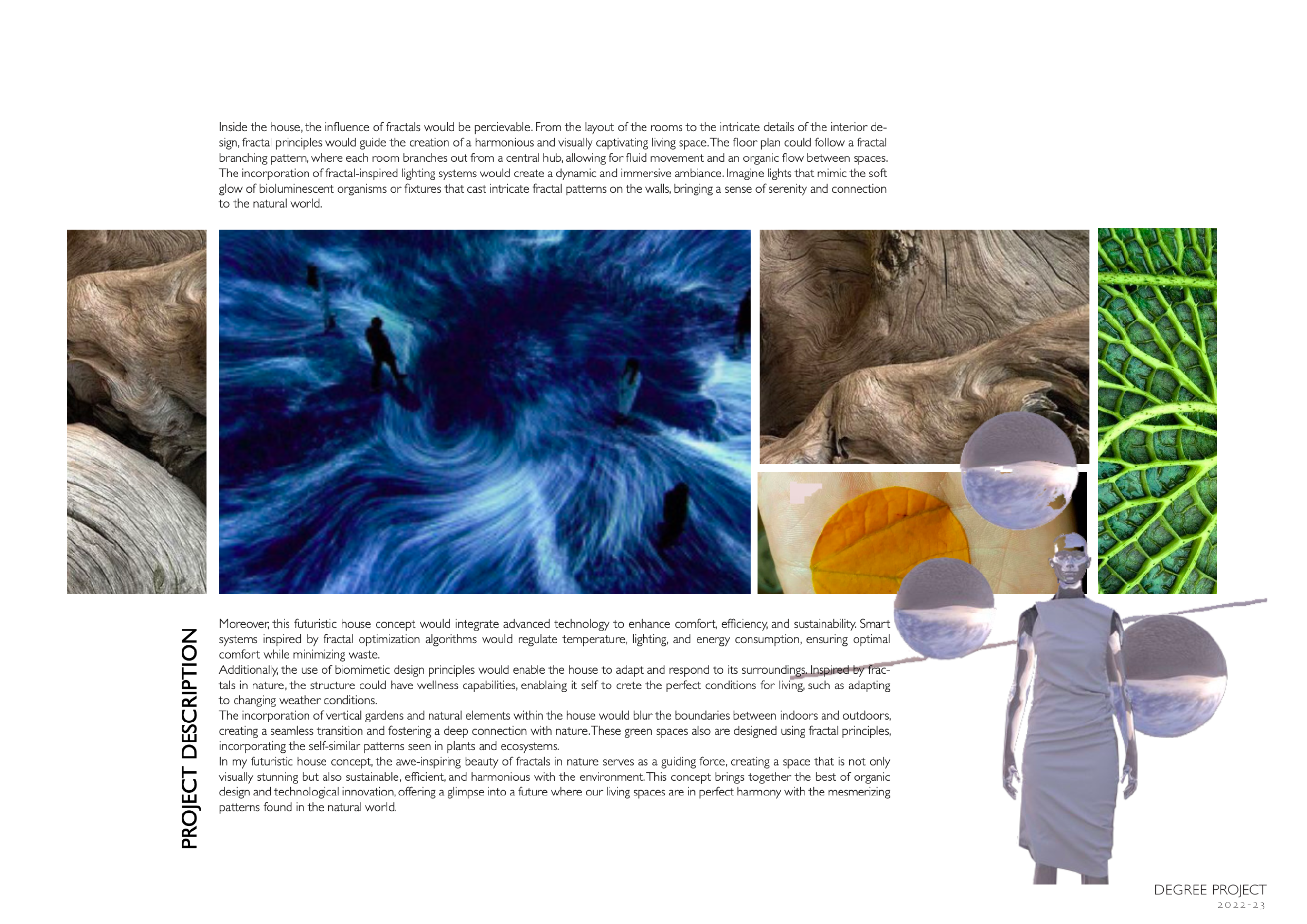 Glimpse Into The Virtual Nature, page 3